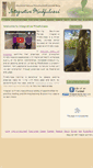 Mobile Screenshot of integrativemindfulness.net